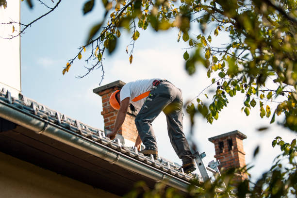 Best Best Roofing Contractors  in Warsaw, VA
