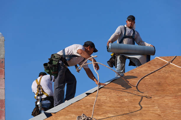 Best Roof Gutter Cleaning  in Warsaw, VA