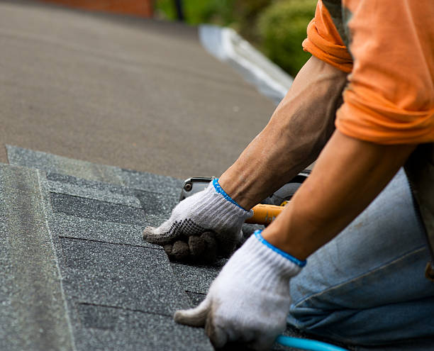 Quick and Trustworthy Emergency Roof Repair Services in Warsaw, VA